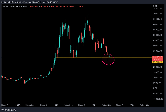 BTCUSD_2022-06-11_08-20-50